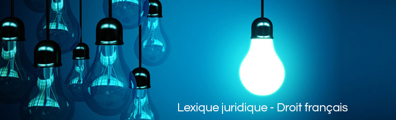 lexique juridique droit français