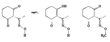 Cyclohexanedione-oximes (CYO)