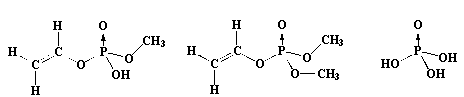 Phénols (PHE)