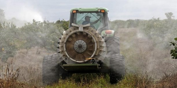 La France vise une réduction de l'usage des pesticides de 50% en dix ans